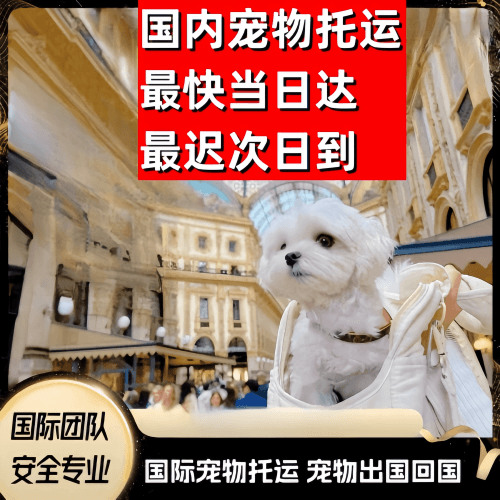 平顶山市到澳大利亚（澳洲）宠物入境规定和要求