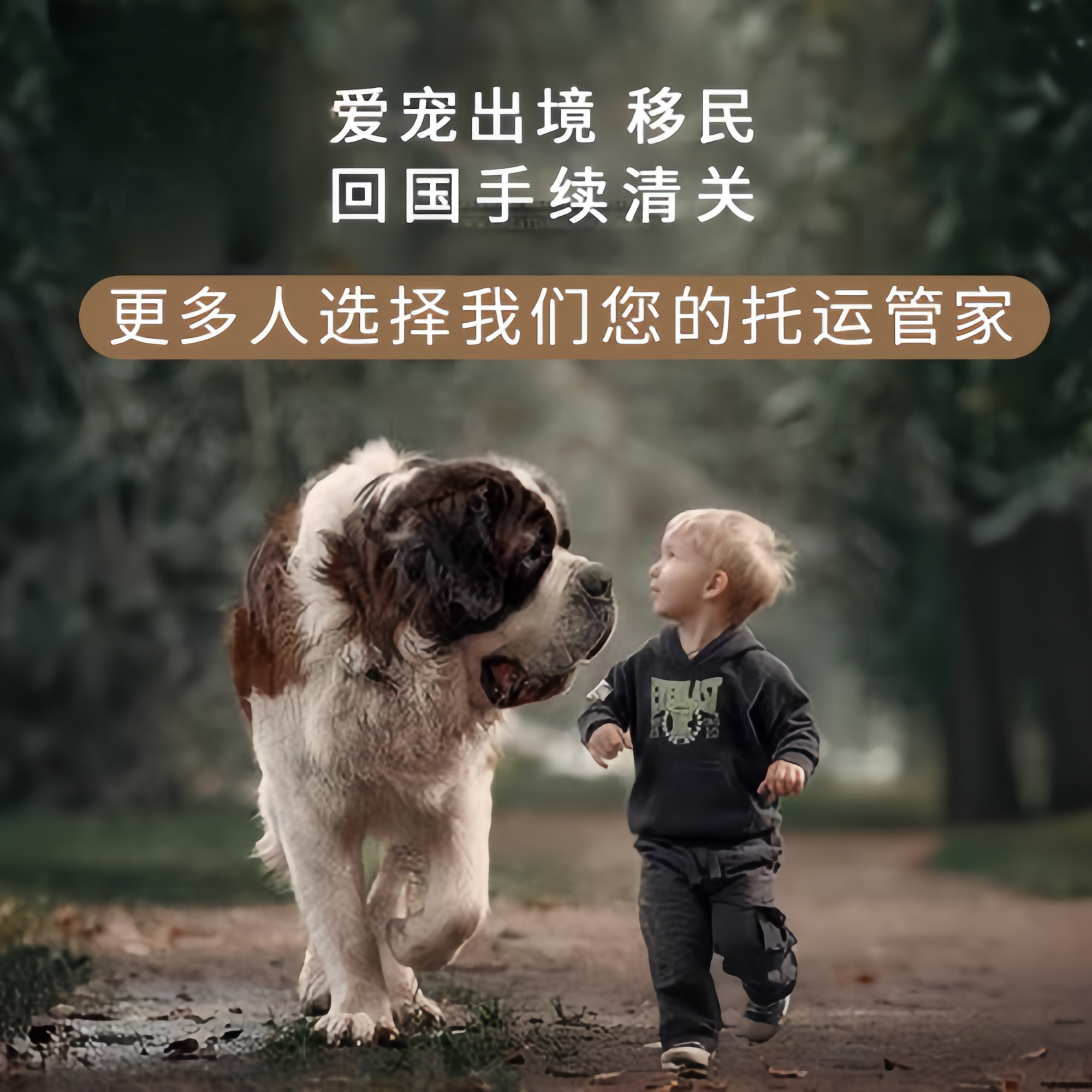 满财平顶山市宠物全球达宠物托运在遵守入境目的地政策的条件