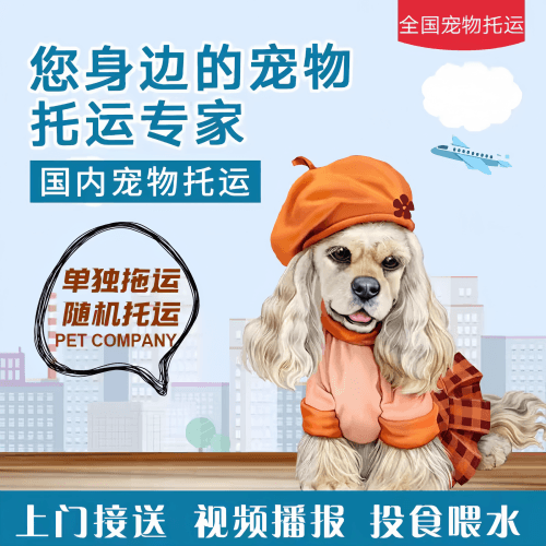 满财平顶山市宠物全球达宠物托运作为专业的宠物运输代理机构
